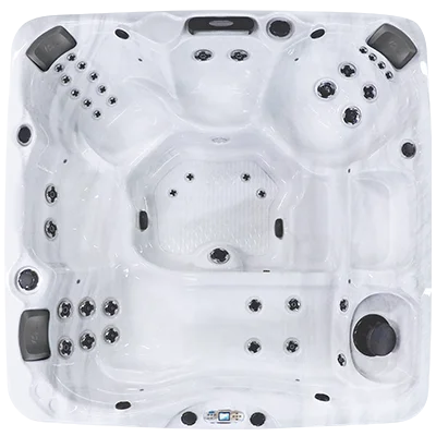 Avalon EC-840L hot tubs for sale in Peach Tree City