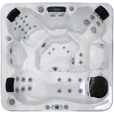 Avalon EC-849L hot tubs for sale in Peach Tree City
